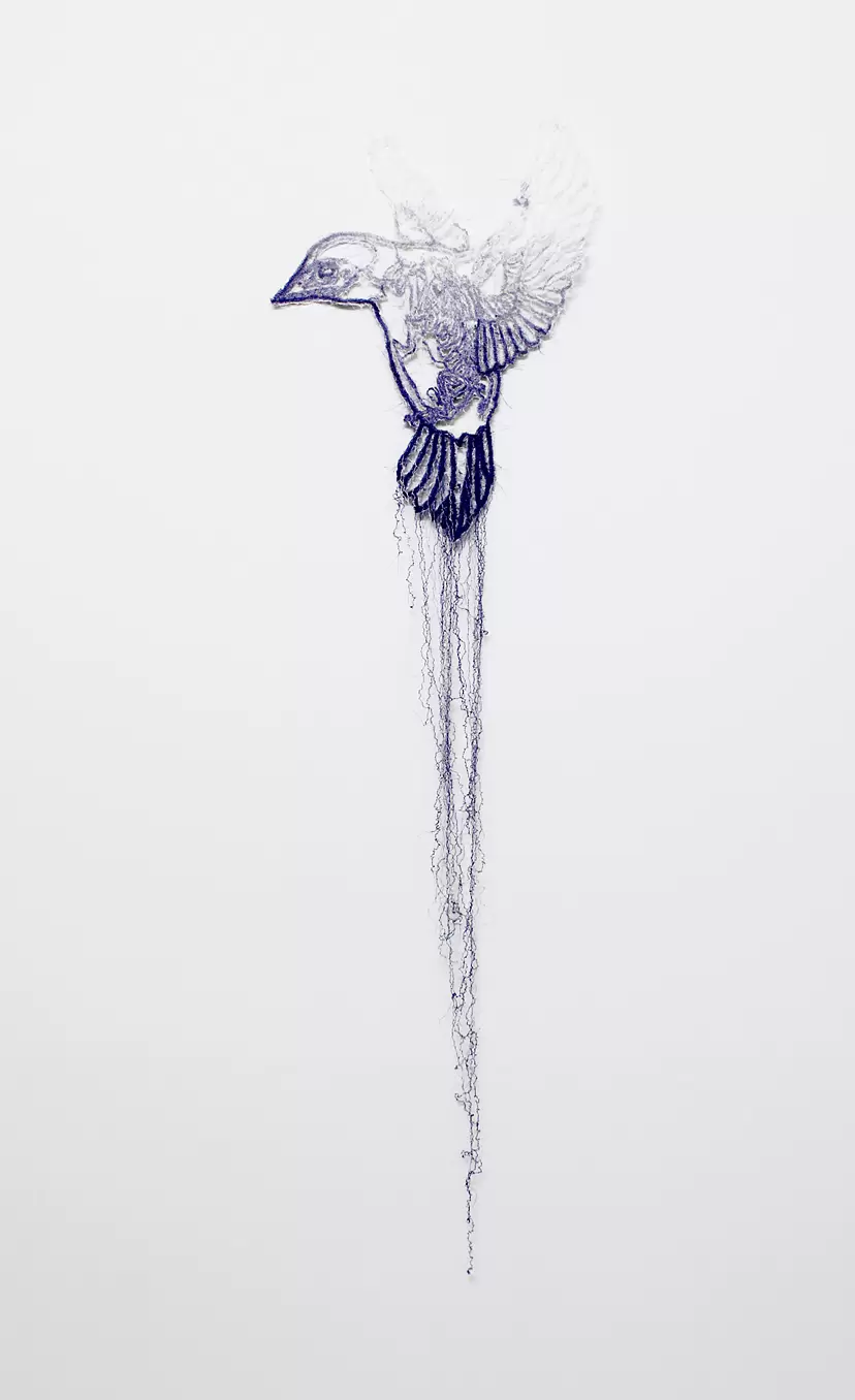 Knots −signal bird− by 宮田彩加