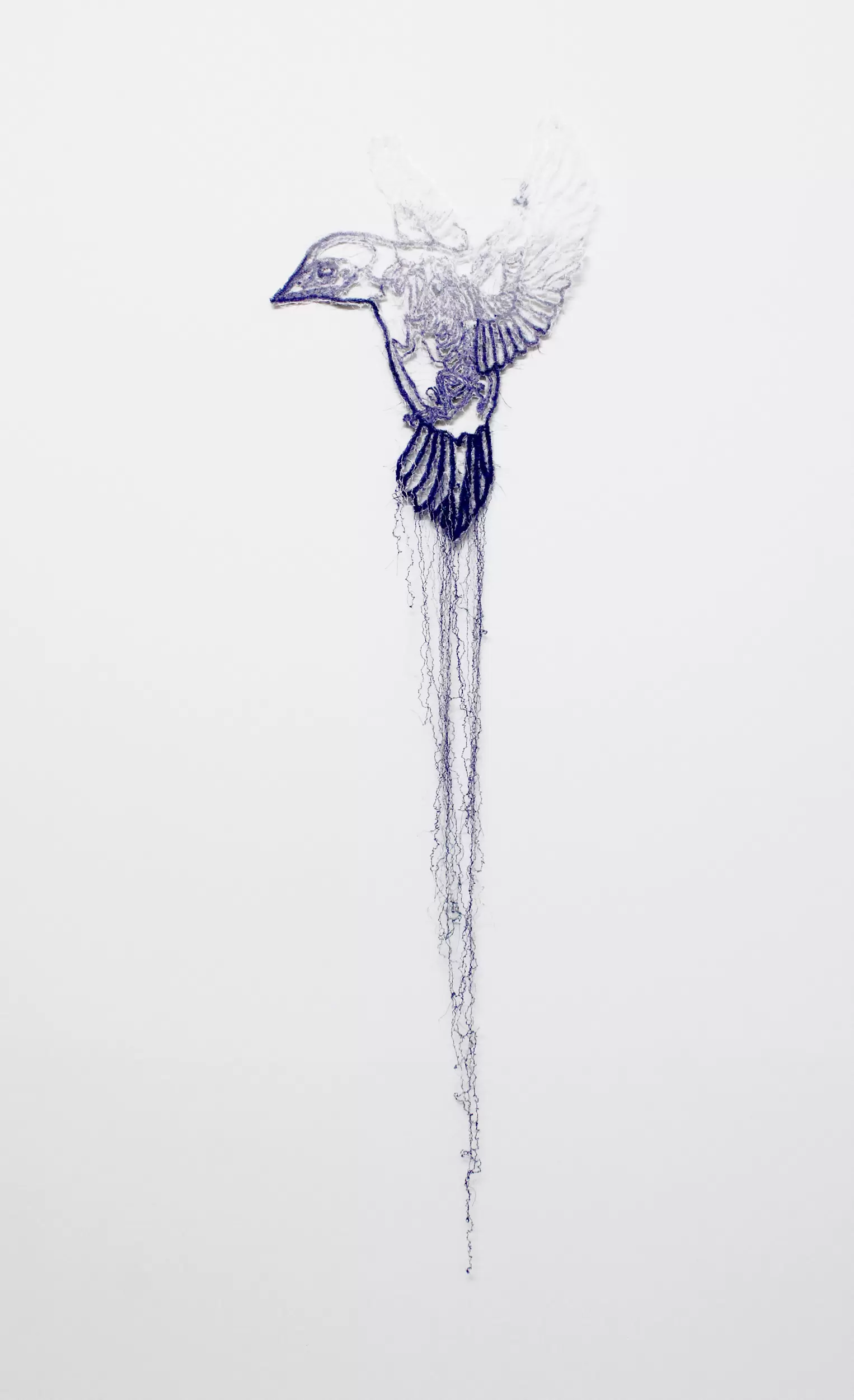 Knots −signal bird− 
