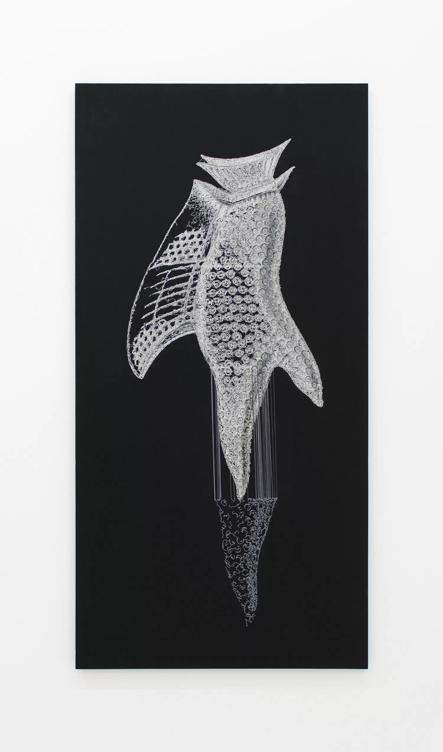 WARPII ‒Homage to Ernst Haeckel‒ (BLACK)