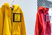 PLUS_Polo by Ralph Lauren_mustard 7