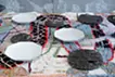 胃结石板 2