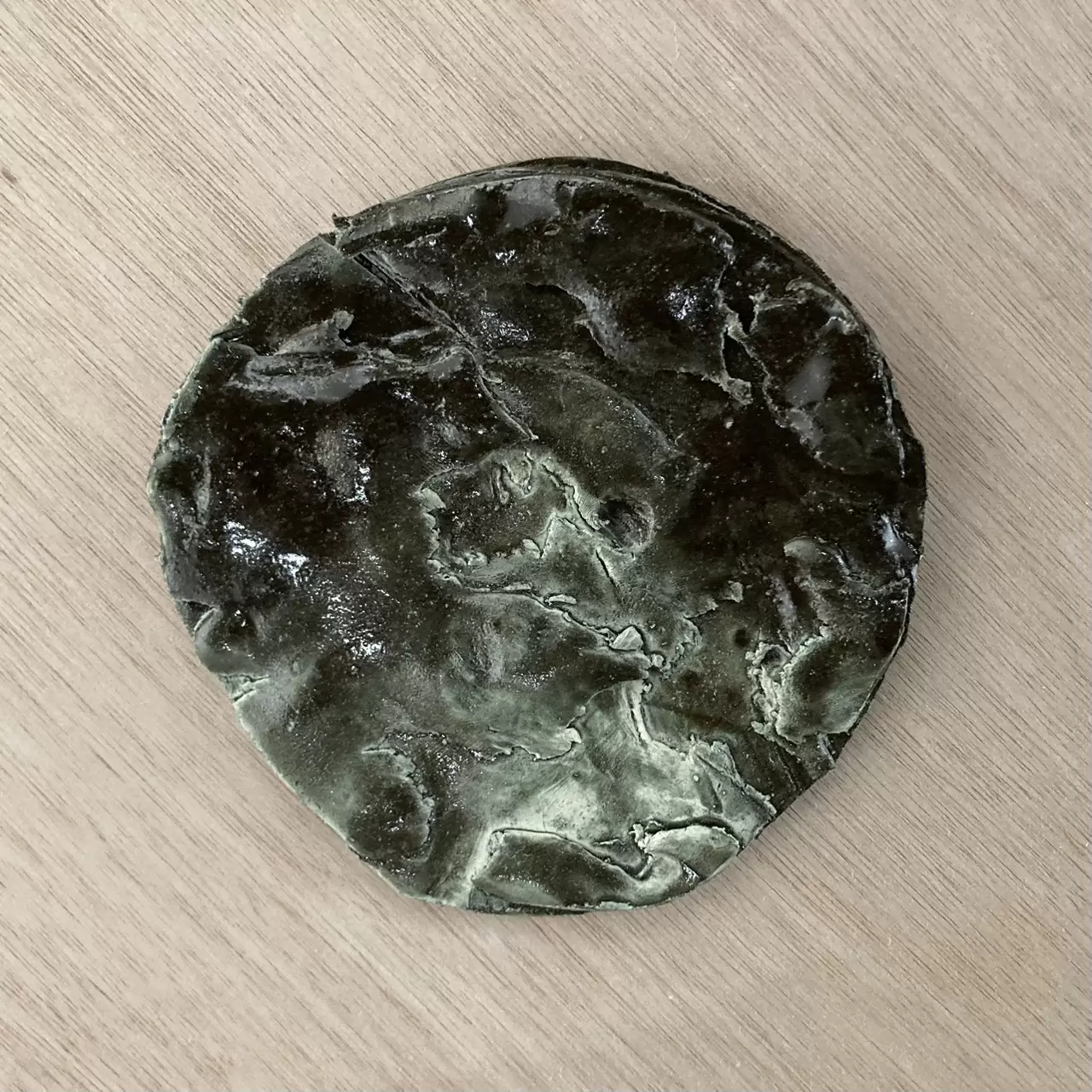 Gastrolith Plate 9