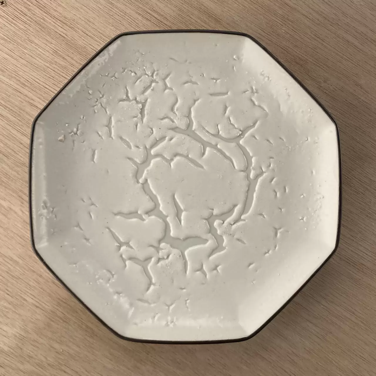 Gastrolith Plate 10-15