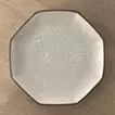 Gastrolith Plate 10-15