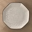 Gastrolith Plate 10-15