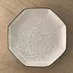 Gastrolith Plate 10-15