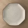 Gastrolith Plate 10-15