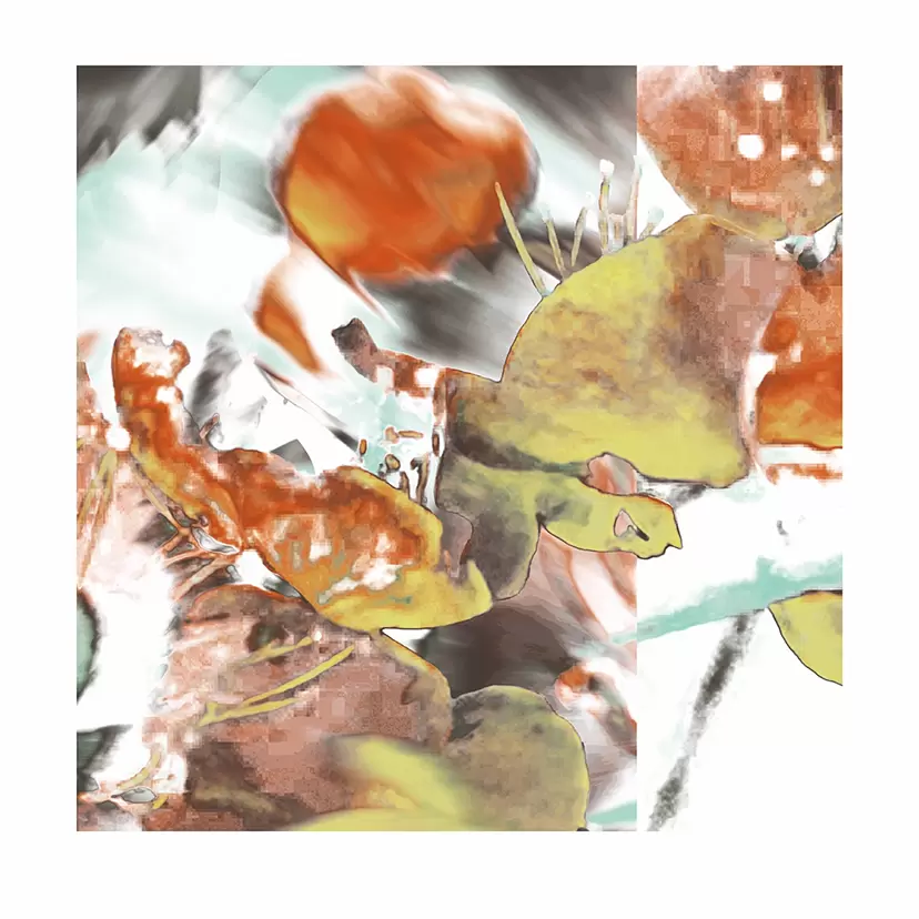 Intimate Series 002 (from Plum Blossoms, 2024) by 楢崎恵美/EMMI NARASAKI