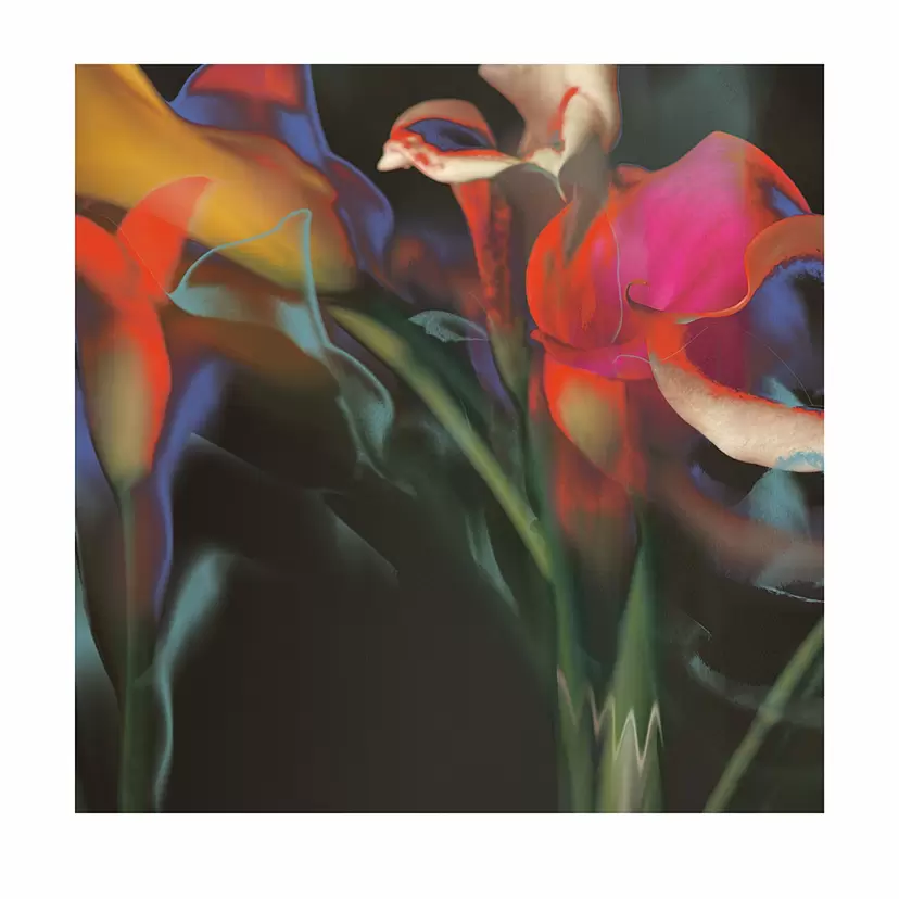 Intimate Series 004 (from Calla lilies, 2026)  by 楢崎恵美／EMMI NARASAKI