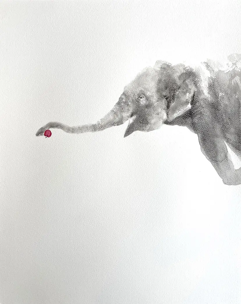 elephant3 by 27wtc
