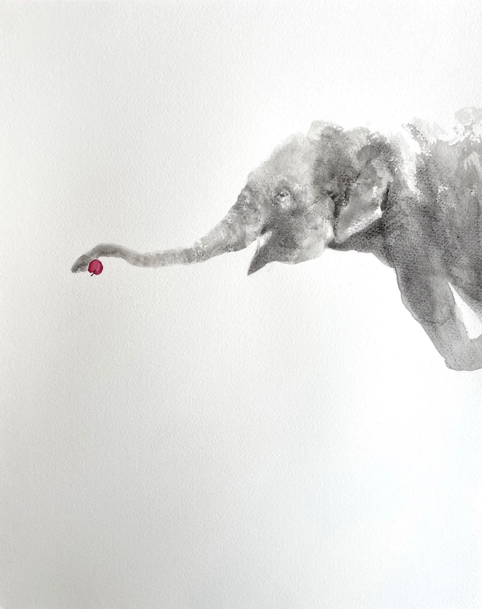 elephant3