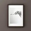 elephant3