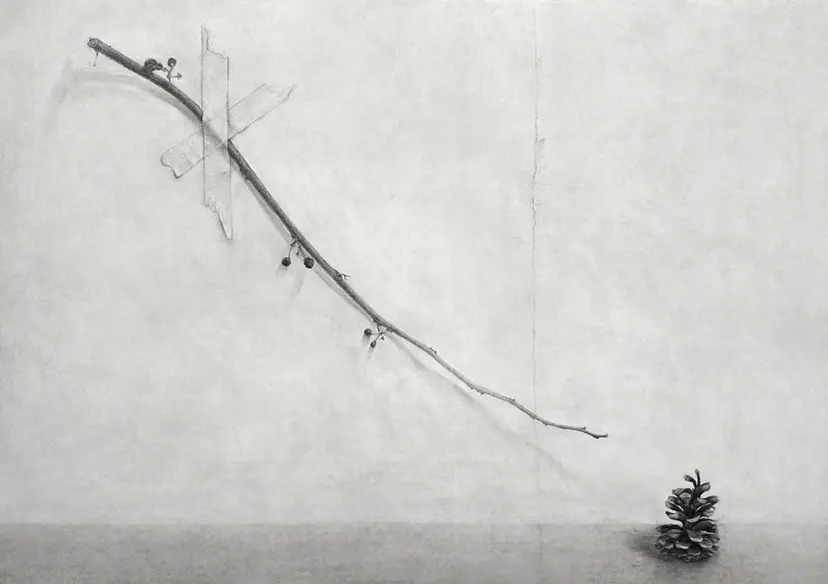枝と松ぼっくり　Branches and Pine cones by 吉村　仁