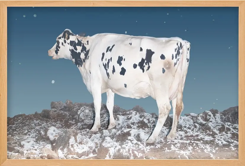 A Cow（6/ed10+AP1）  by 遠藤文香