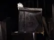 静かに佇む