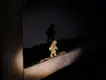 静かに佇む