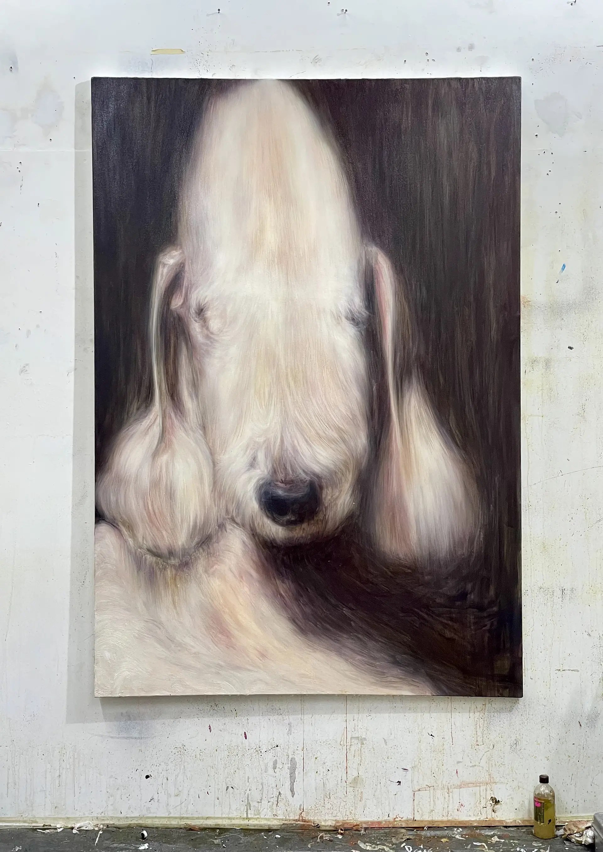 白犬 (shiro) by 山脇 紘資 | 現代アートの販売・通販 | ArtSticker