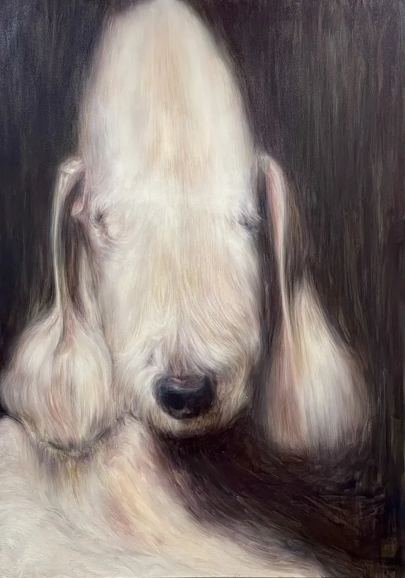 白犬 (shiro) by 山脇 紘資