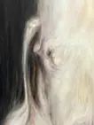 白犬 (shiro)