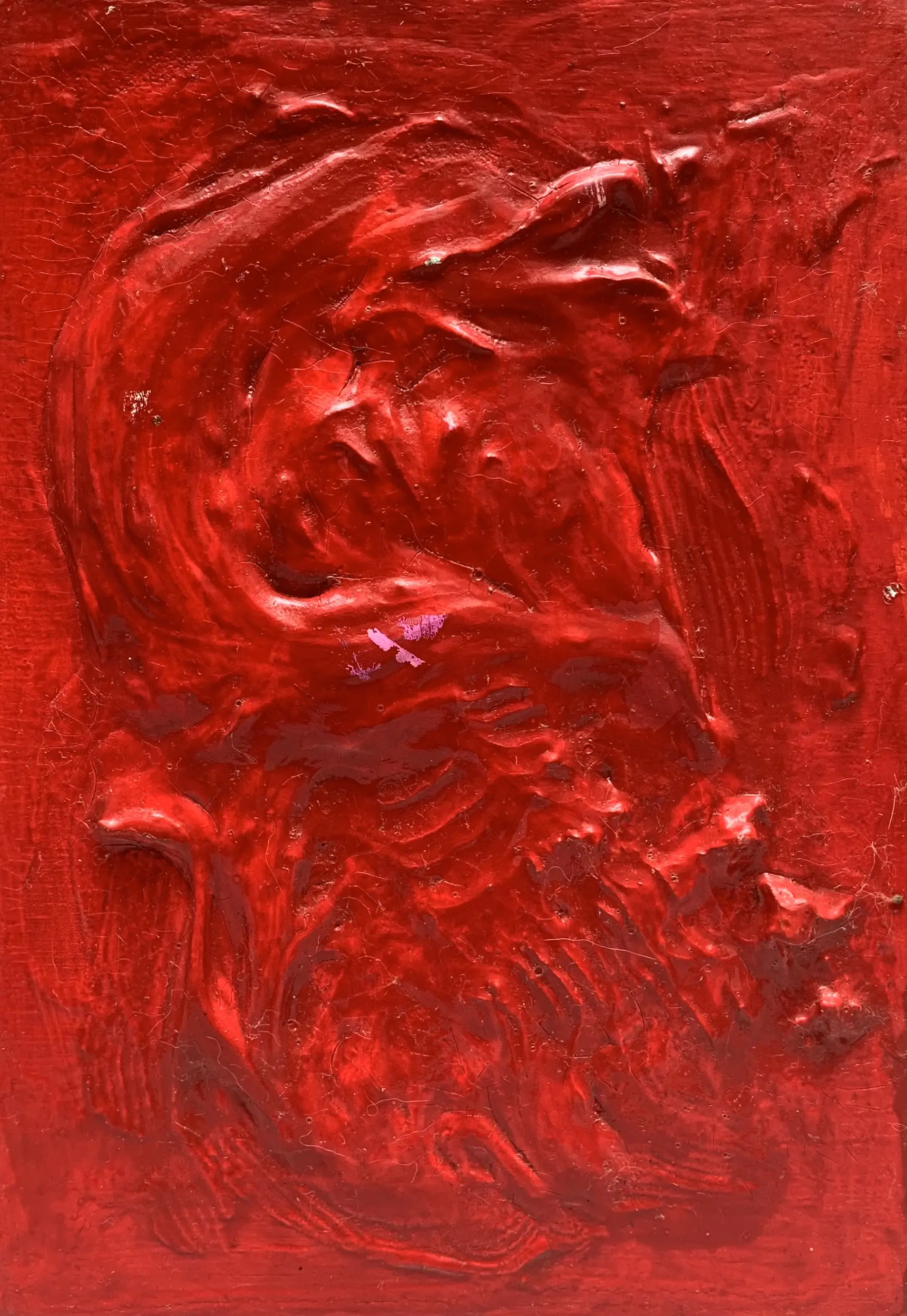 極地1