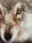 Wolf,2021
