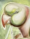 Twin birds