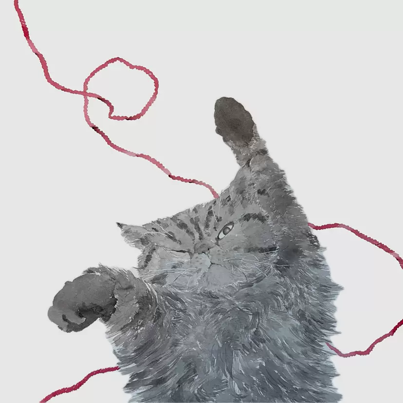 猫 赤い糸 by 27wtc