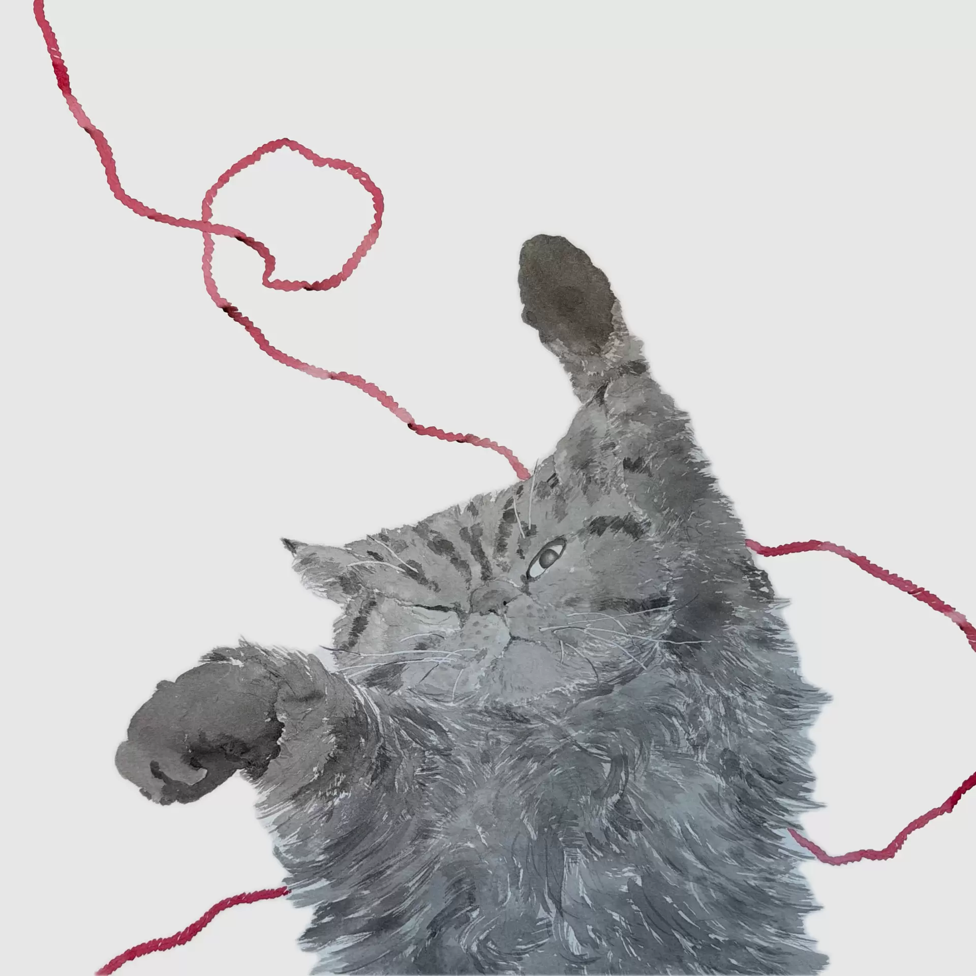 猫　赤い糸