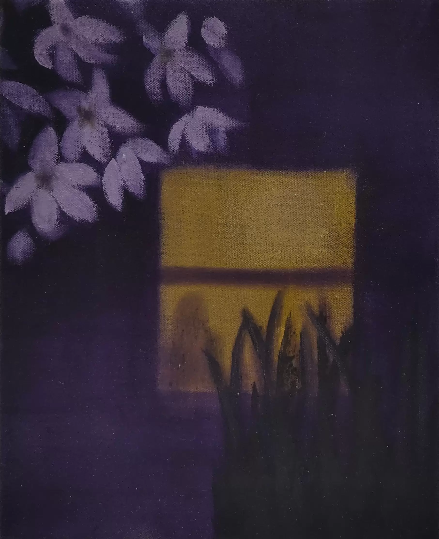Purple Window 4
