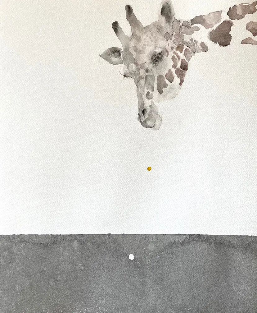 Giraffe by 27wtc