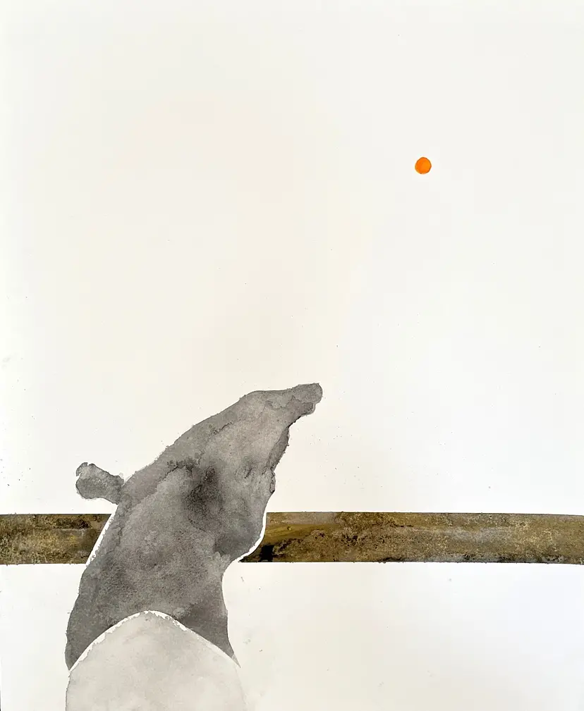 Tapir by 27wtc