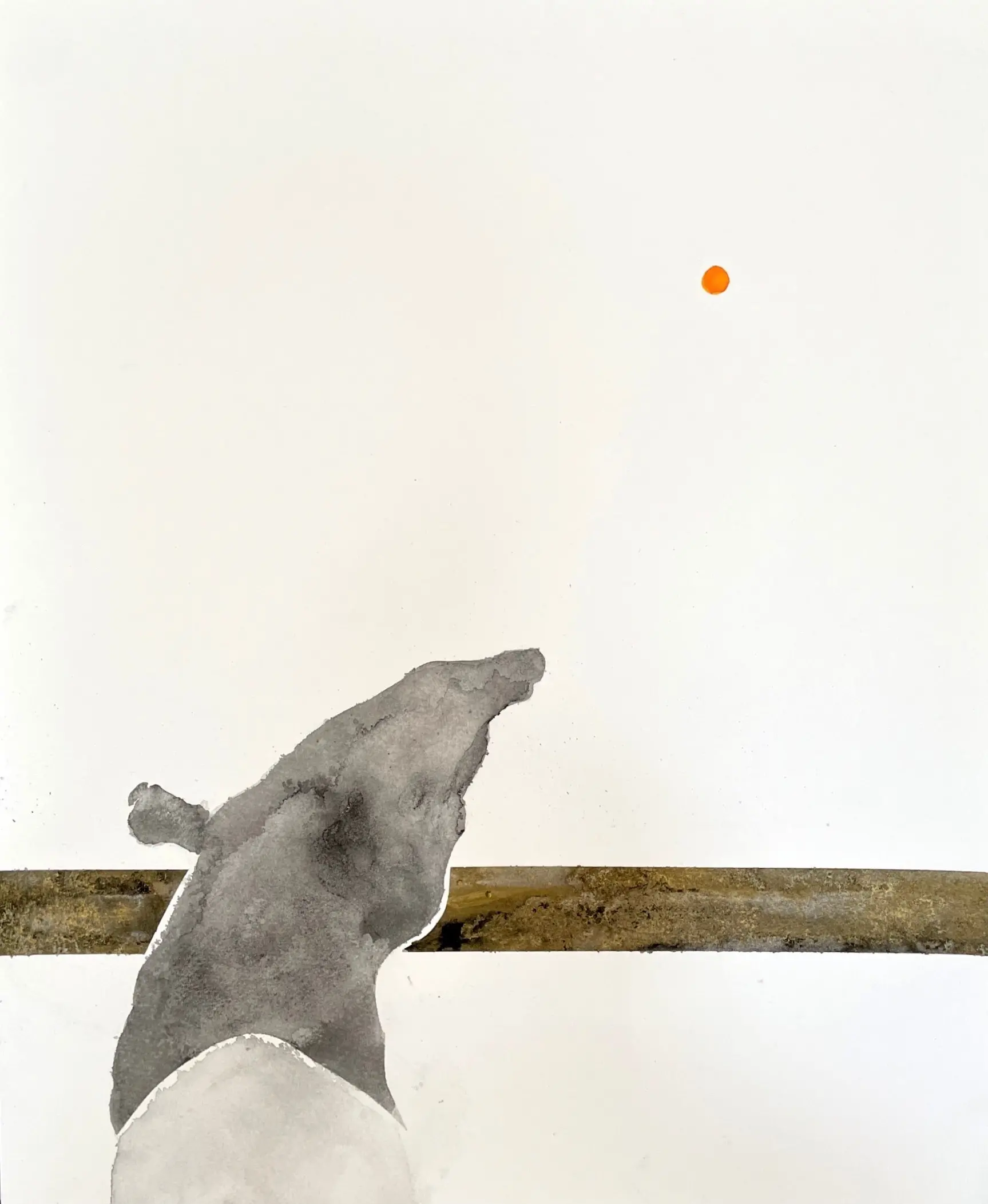Tapir