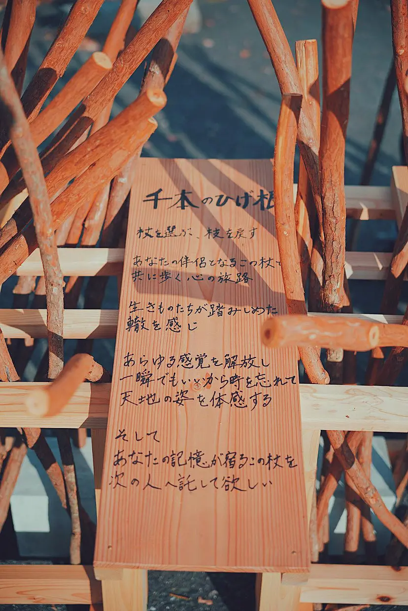 千本のひげ根 / A Thousand Roots by 菊池宏子＋林 敬庸