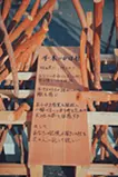 千本のひげ根 / A Thousand Roots