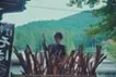 千本のひげ根 / A Thousand Roots