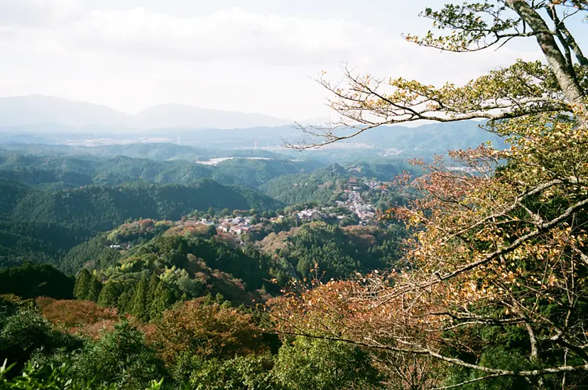 mememt of lens  (吉野) by KIKI