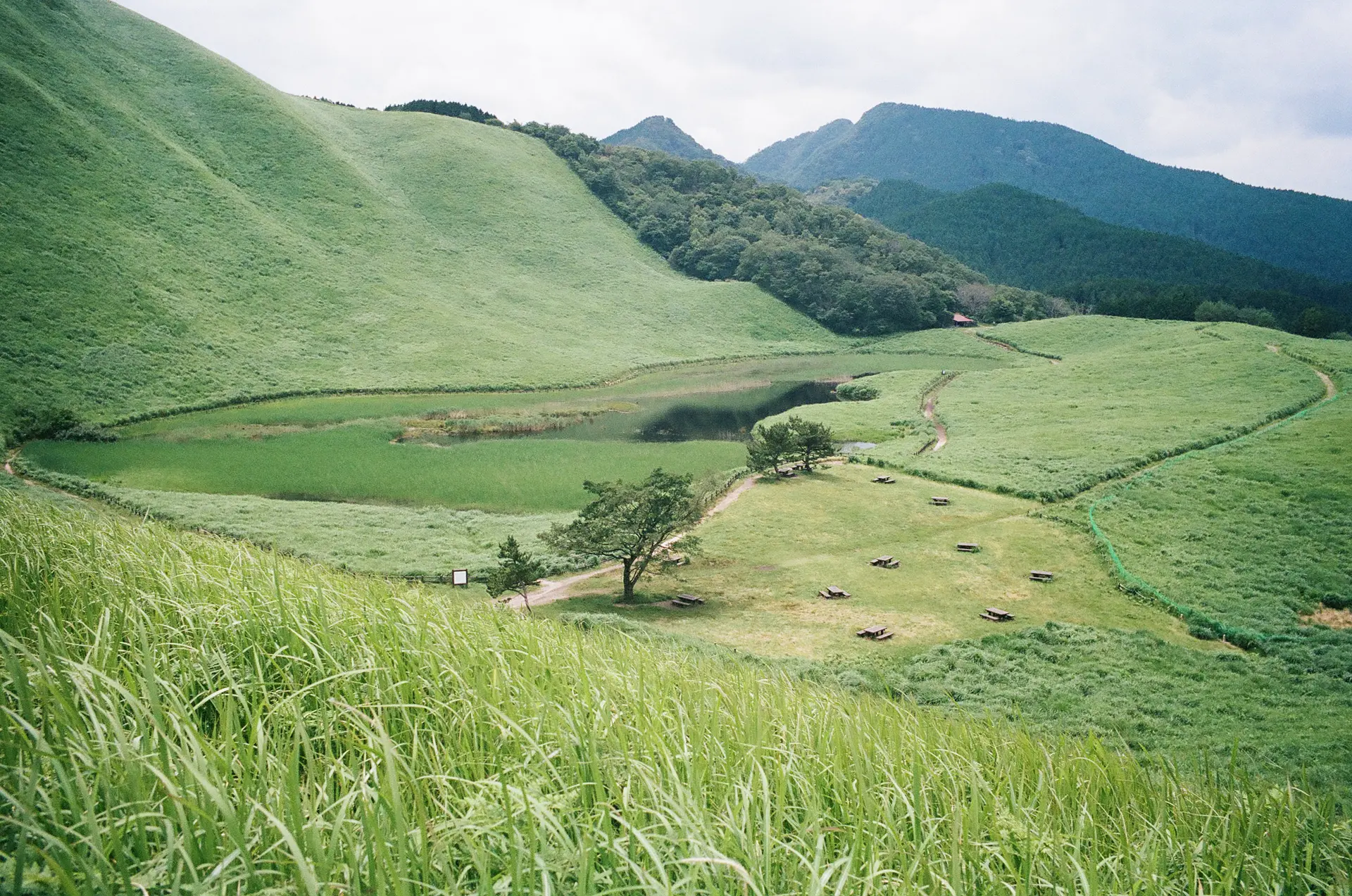 mememt of lens (曽爾)