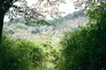 mememt of lens (曽爾)