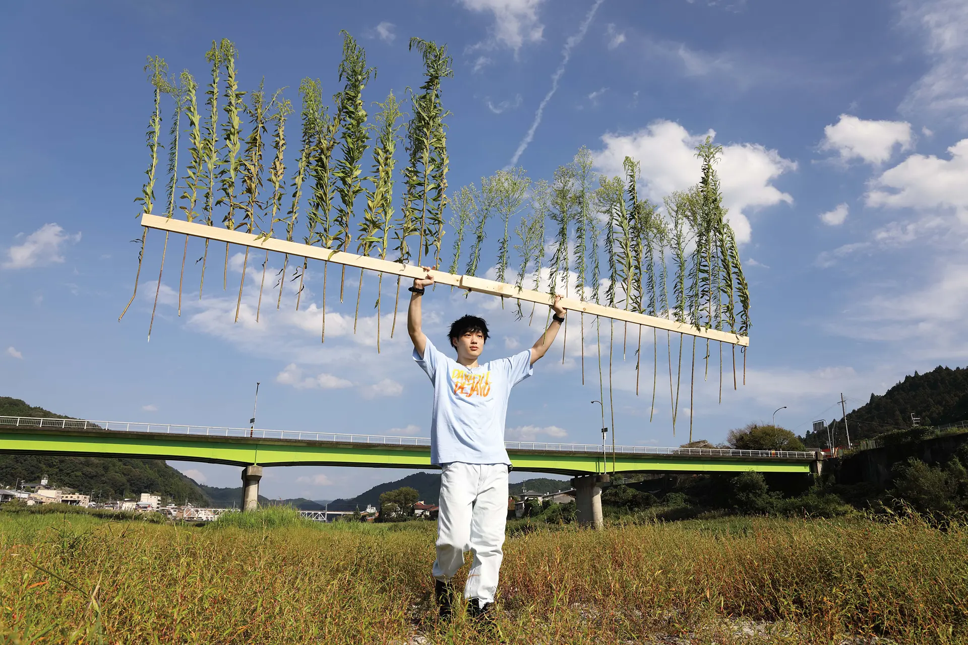 Sensory Activities (Yoshino grass)