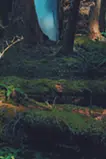 奥の稜線 / Ridgeline as seen