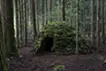 天川の茶室