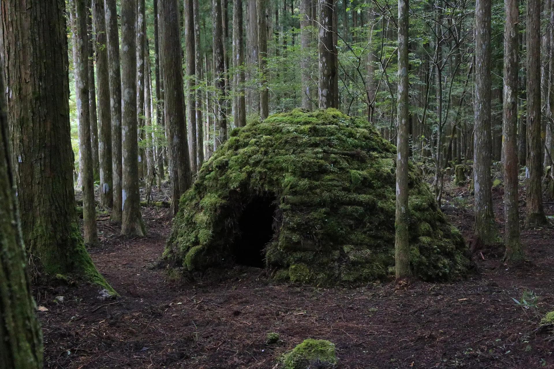 天川の茶室