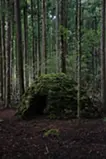 天川の茶室