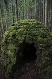 天川の茶室
