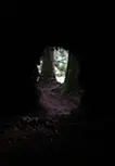 天川の茶室