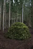 天川の茶室
