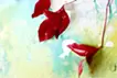 Where the Light Begins 光のはじまり