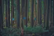 あわい / and inbetween（覚 和歌子、国本泰英）
