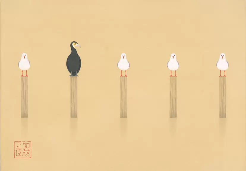 ユリカモメ by 加藤正臣