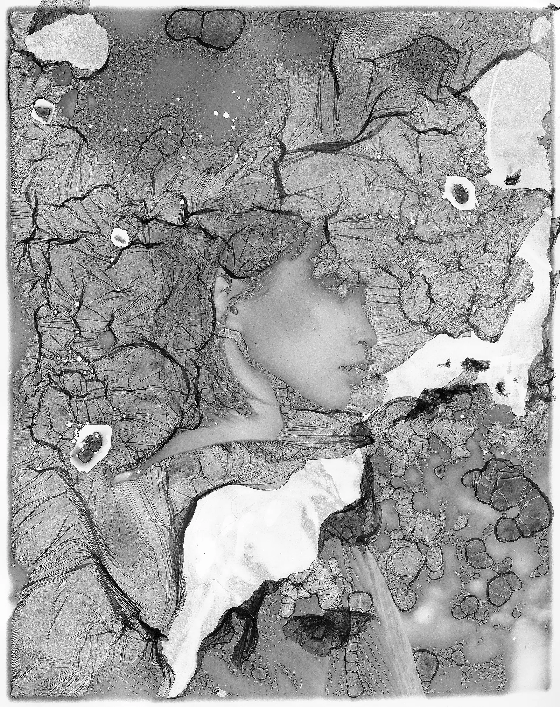 Veils#12 龍の樹の下 No.1